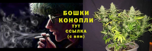 spice Зерноград