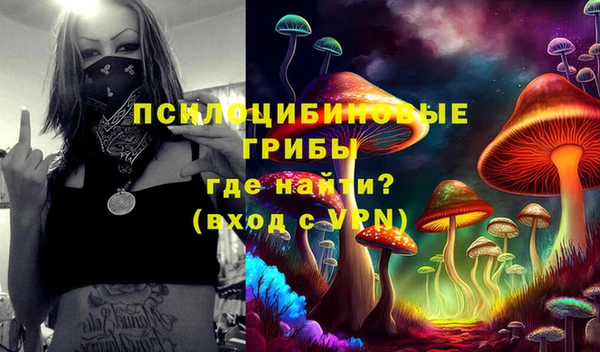 spice Зерноград
