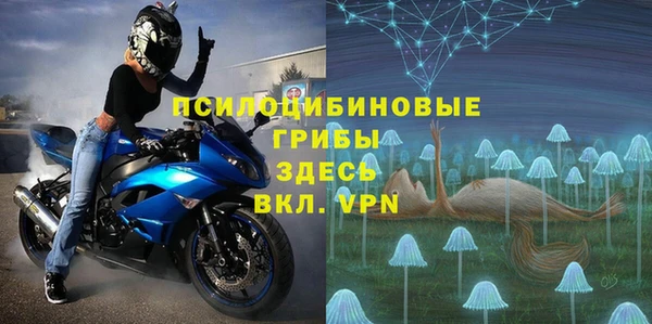 шишки Зеленодольск
