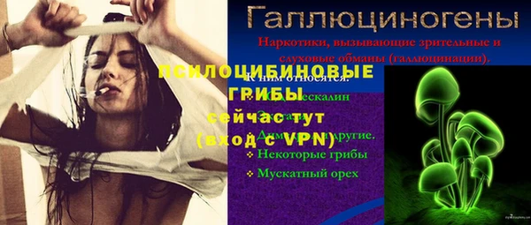 спиды Зеленокумск