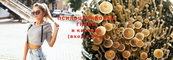 шишки Зеленодольск