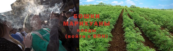 спиды Зеленокумск