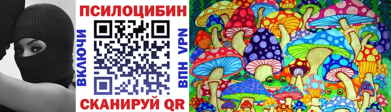 Купить где  Куровское  Псилоцибиновые грибы Cubensis 