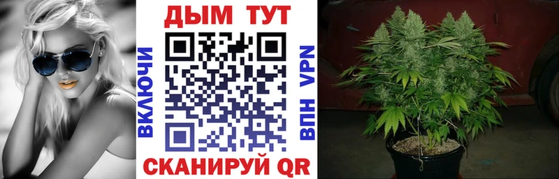 Шишки марихуана VHQ  Купить  Куровское 